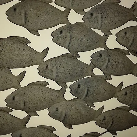 Daire Three Cities *