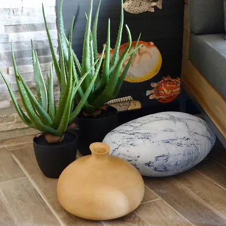 Daire Three Cities *