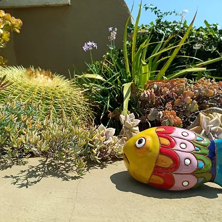 Apartment Three Cities